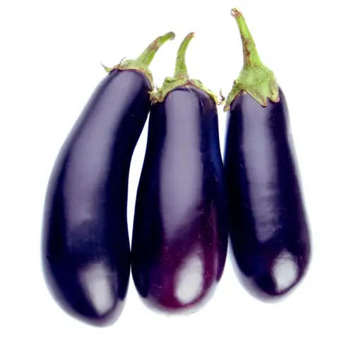 Patlidžan (1 kg)