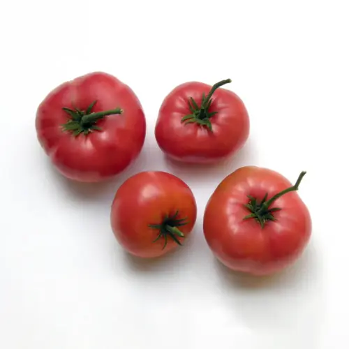 Paradajz (1 kg)